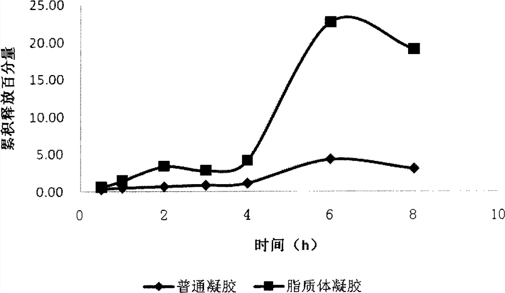 Tetracaine hydrochloride lipidosome gel and preparation method thereof