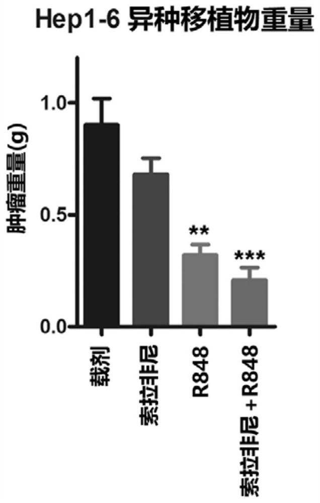 Medicine composition of R848 or medicine composition of combination of R848 and sorafenib for treating cancer and application