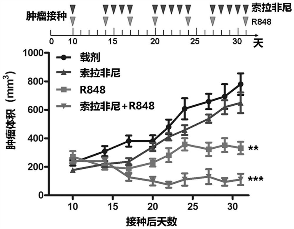 Medicine composition of R848 or medicine composition of combination of R848 and sorafenib for treating cancer and application