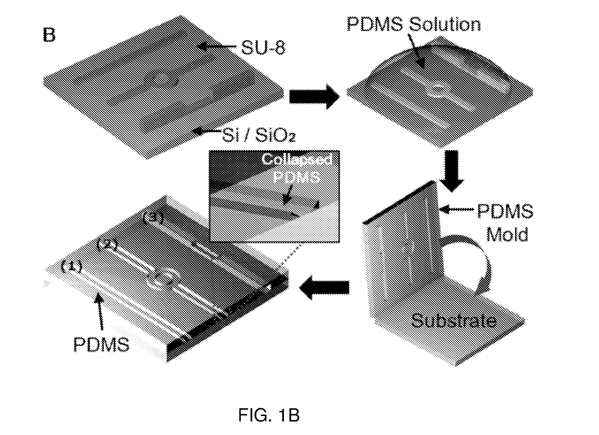 Nanofilter devices using elastomeric micro to nanochannel interfaces and methods based thereon