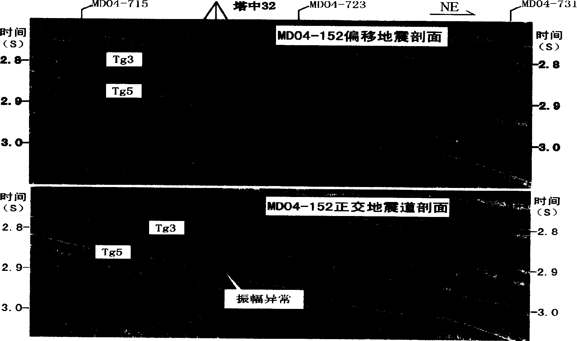 Method for seeking lithological anomalous body using orthogonal seismic trace data