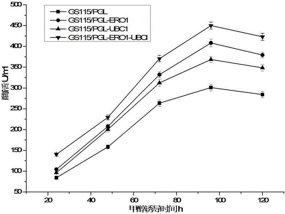 Strain for efficiently expressing alkaline pectate and construction and application thereof