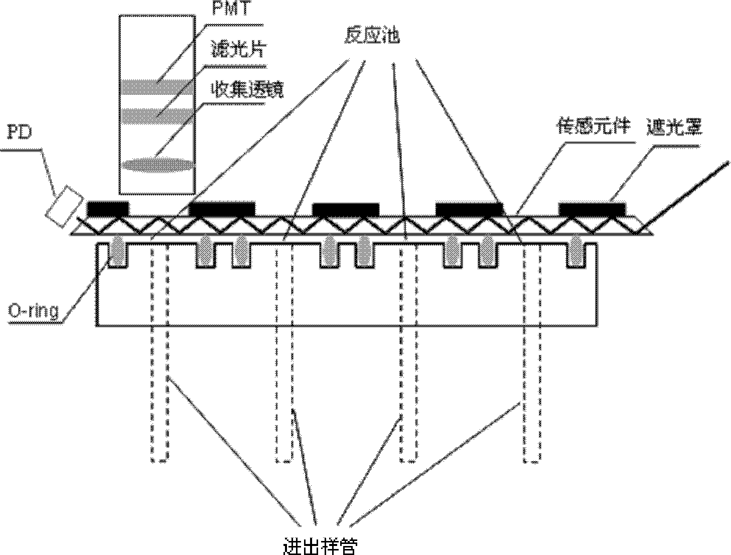 Multi-channel planar waveguide evanescent wave biosensor