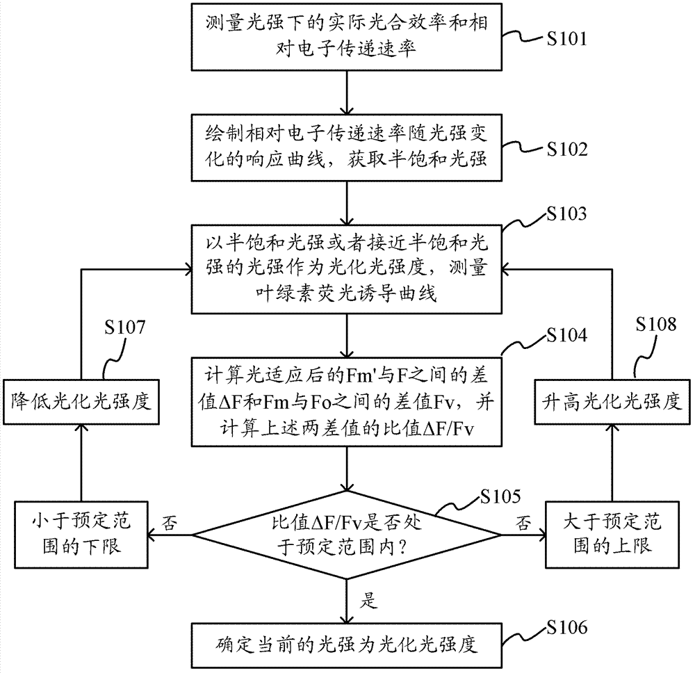 Method for confirming actinic light intensity in chlorophyll fluorescence induction curve measurement