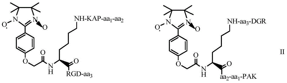 N-(PAK)-2,3-dioxide-isoquinoline-7-formyl-RGDV/F, synthesis, activity and application thereof