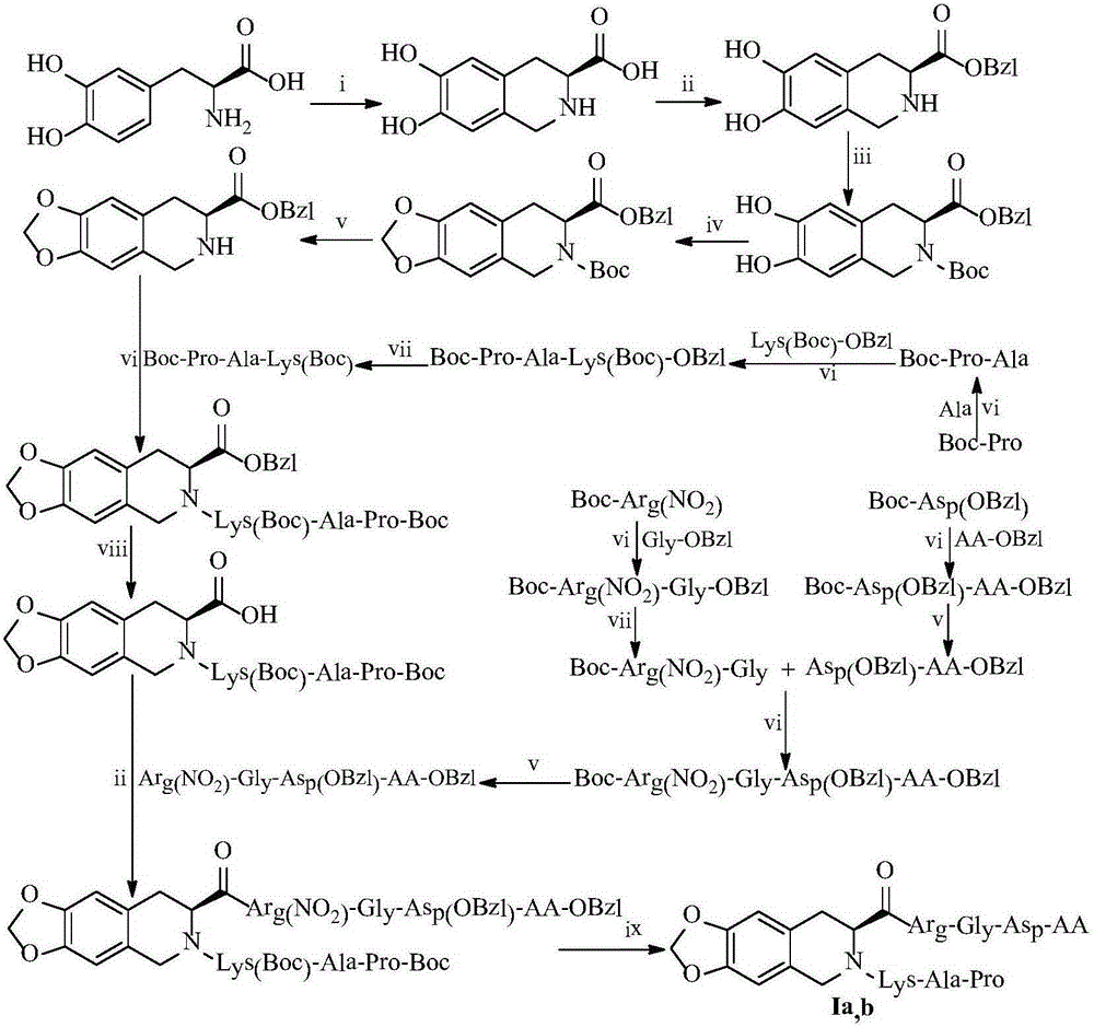 N-(PAK)-2,3-dioxide-isoquinoline-7-formyl-RGDV/F, synthesis, activity and application thereof