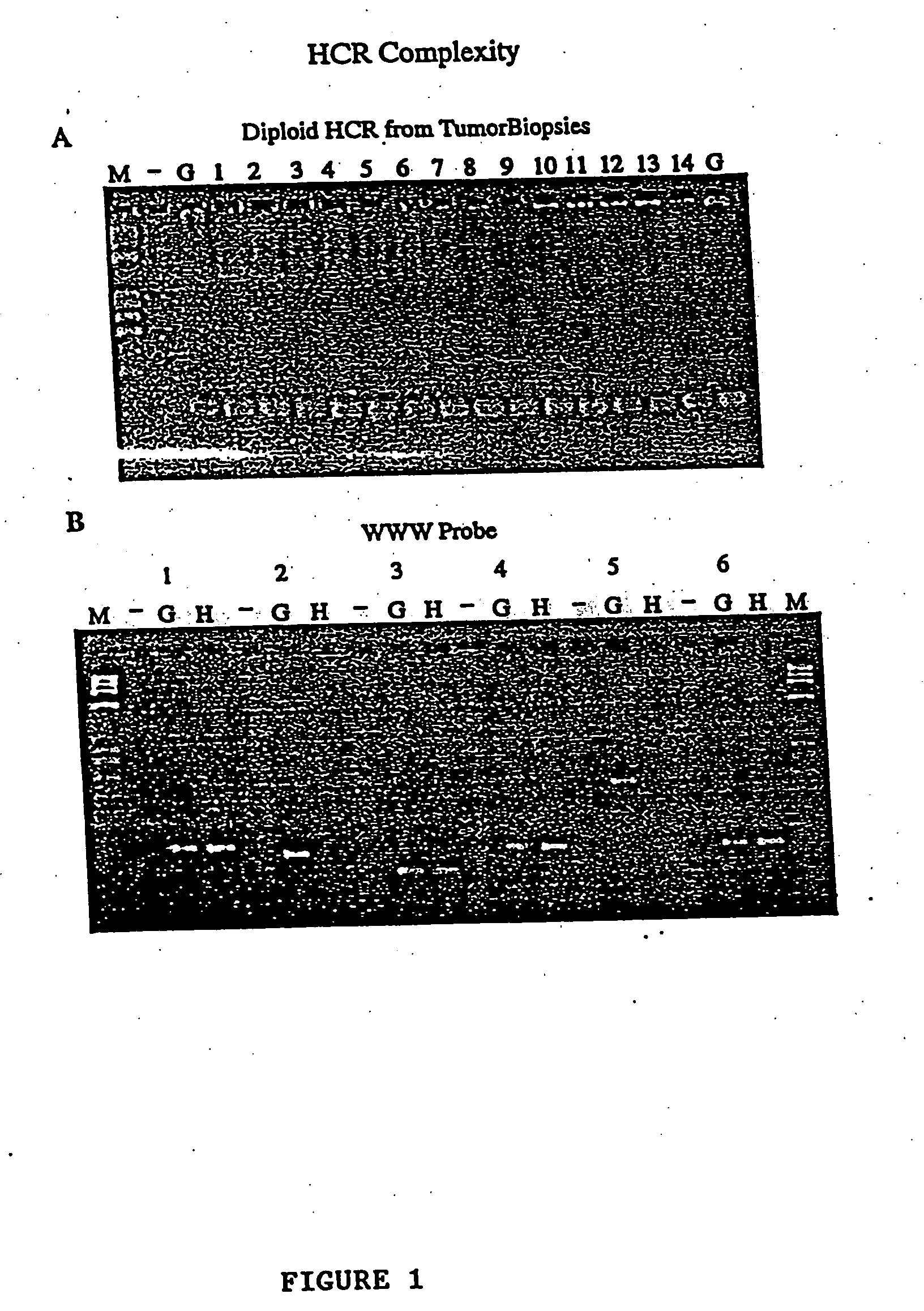 Use of representations of DNA for genetic analysis