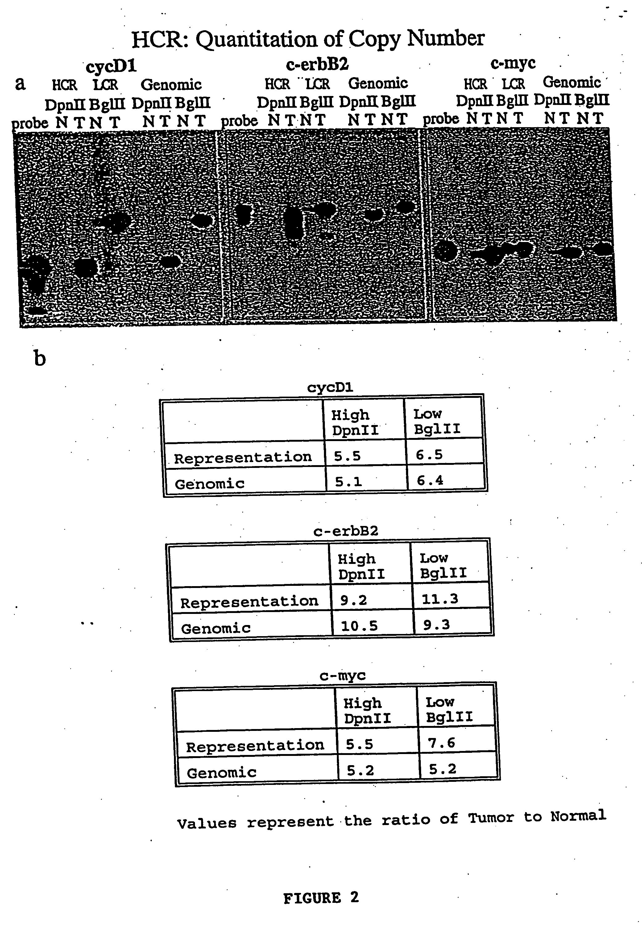 Use of representations of DNA for genetic analysis