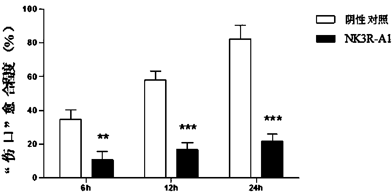 A kind of synthetic peptide nk3r-a1 based on nk3 receptor and its application