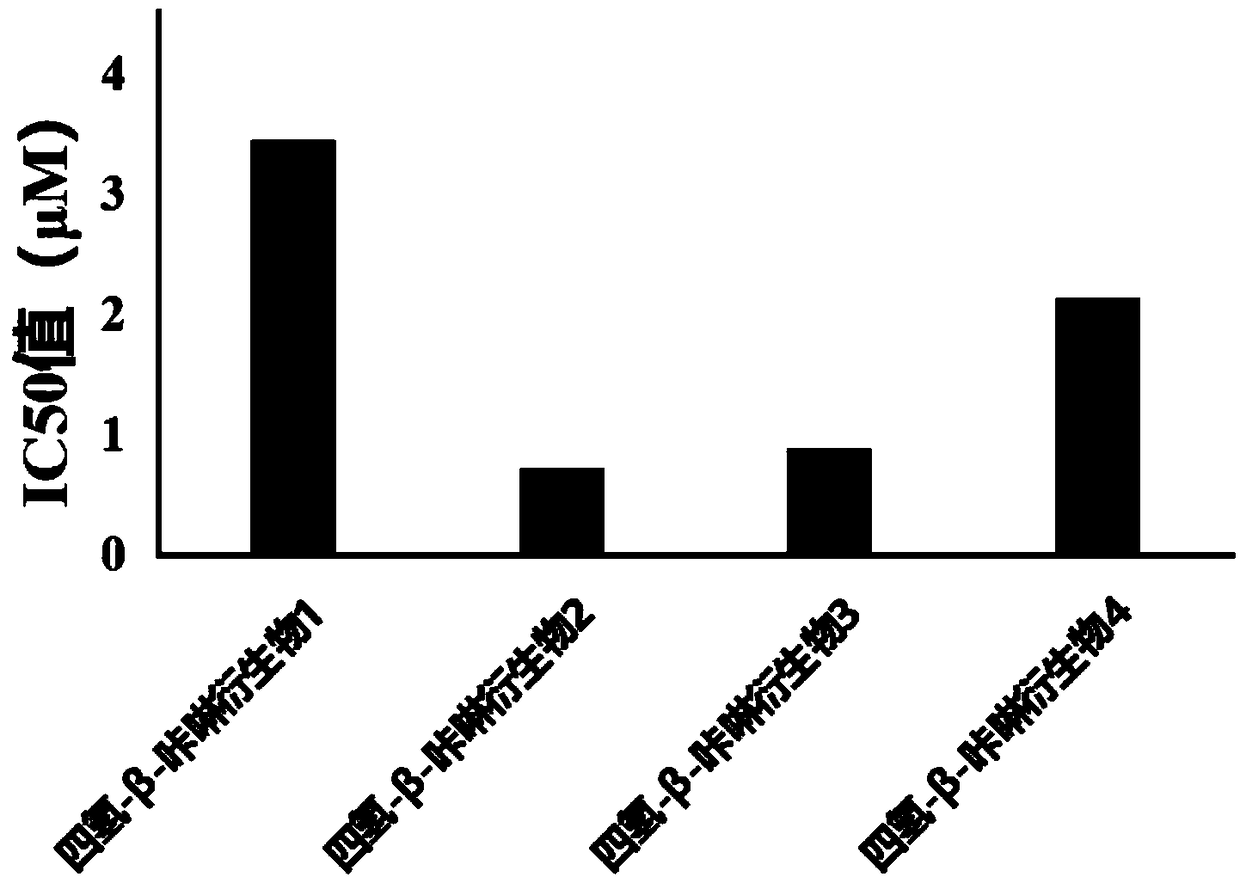 Application of tetrahydro-beta-carboline derivative to oral cancer resistance