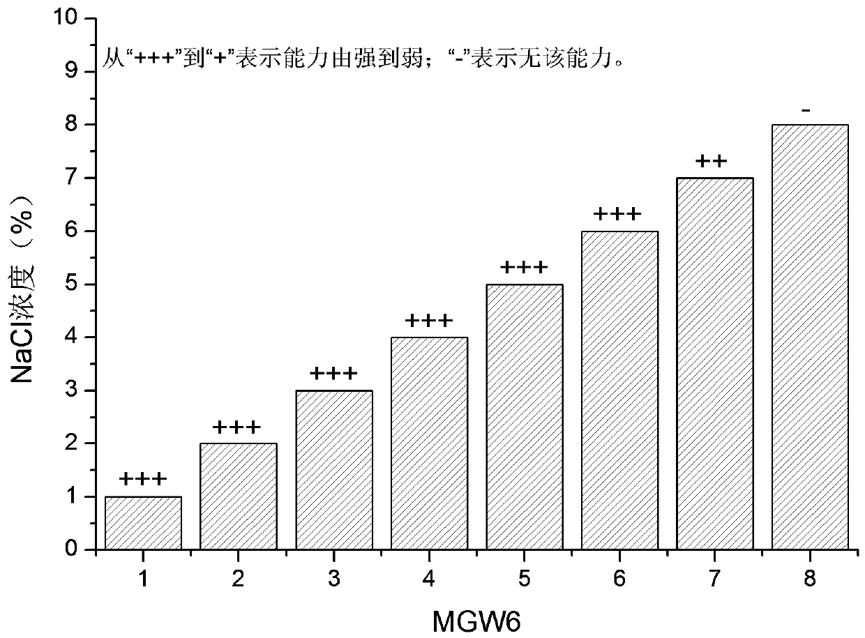 Preparation and application method of seed biostimulant SB-MGW6