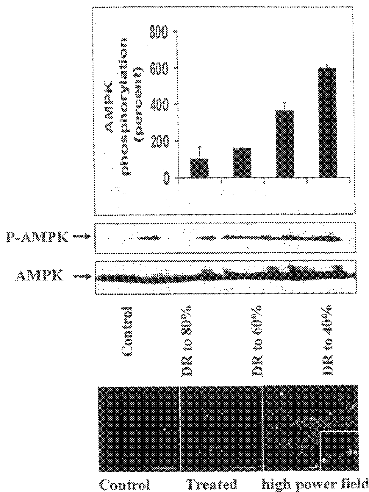 Compounds for improving nutritional status, cognition and survival