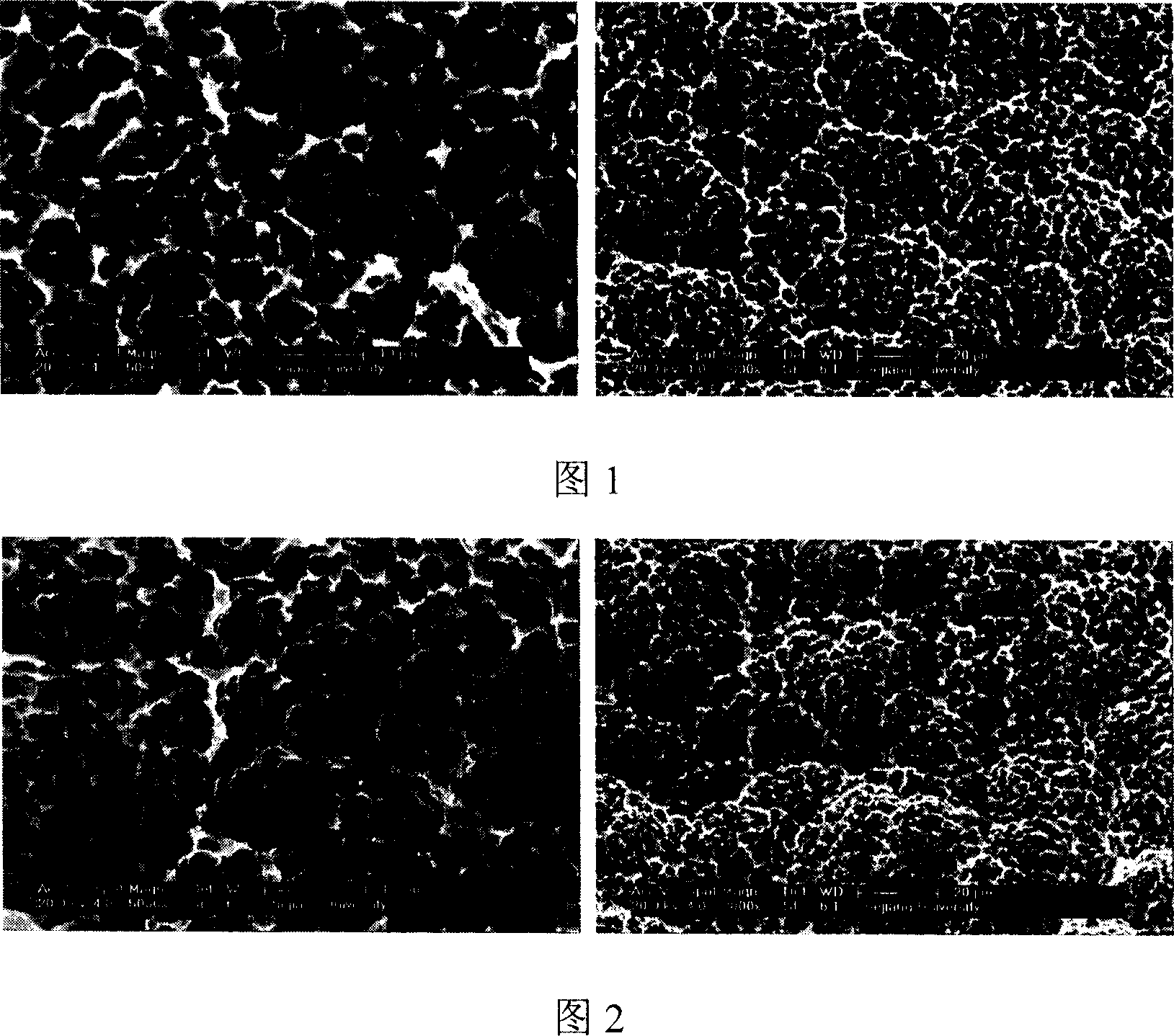 Process of forming fluoric stepped hole structure on the surface of pure titanium dental implant