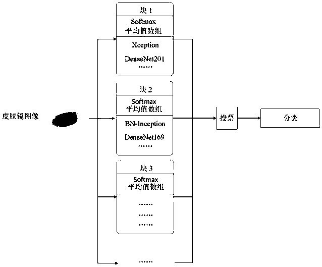 Dermatoscope image recognition method based on StyleGANs and decision fusion