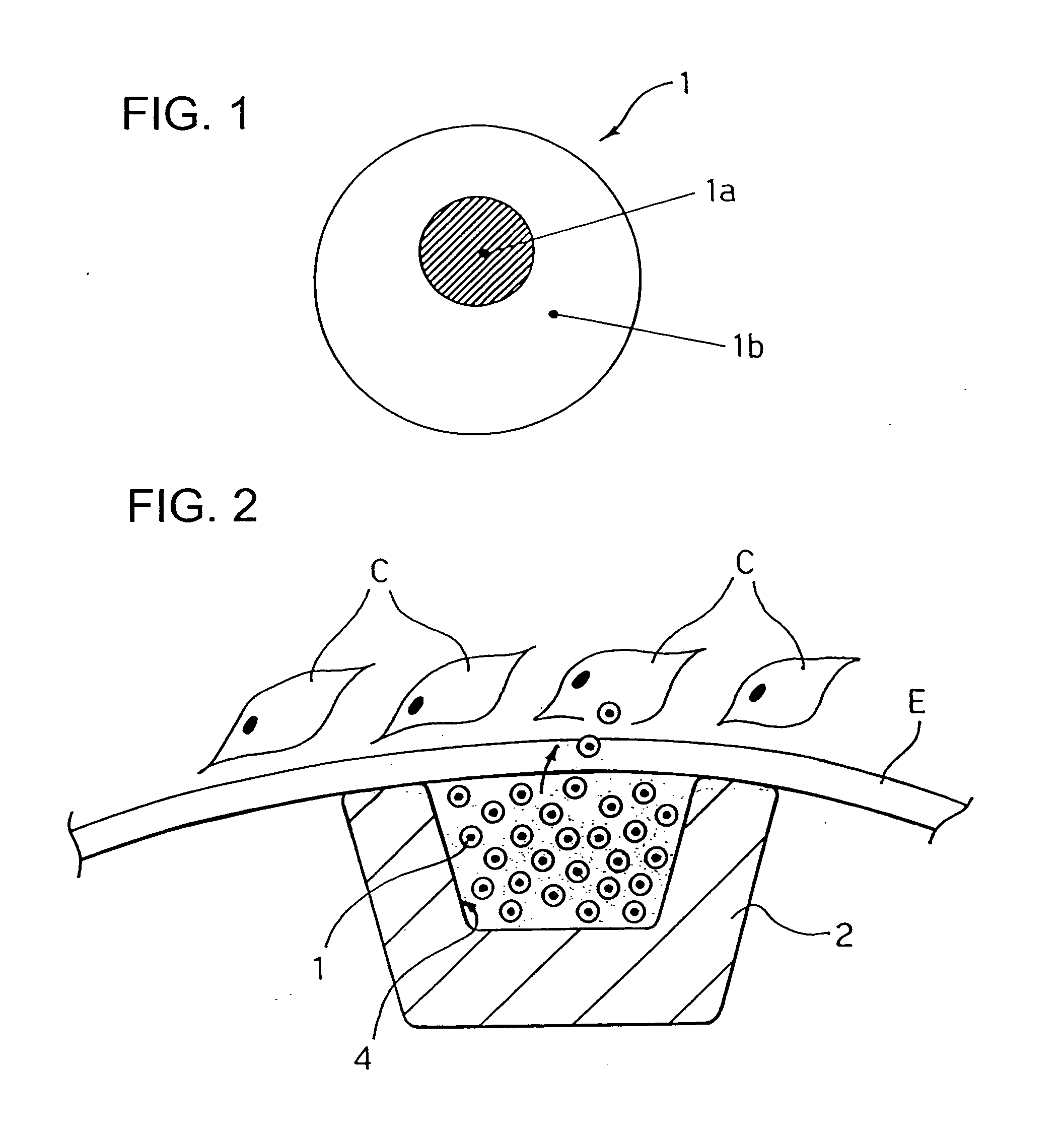 Carrier and kit for intraluminal delivery of active principles or agents