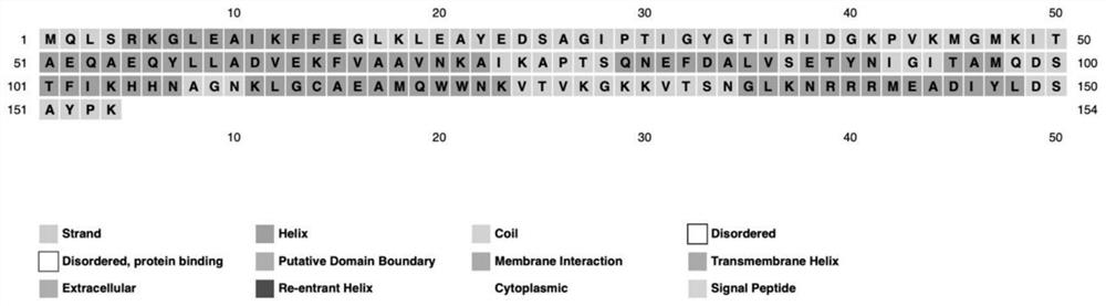 Lyase of endo salmonella bacteriophage as well as coding gene, preparation method and application of lyase