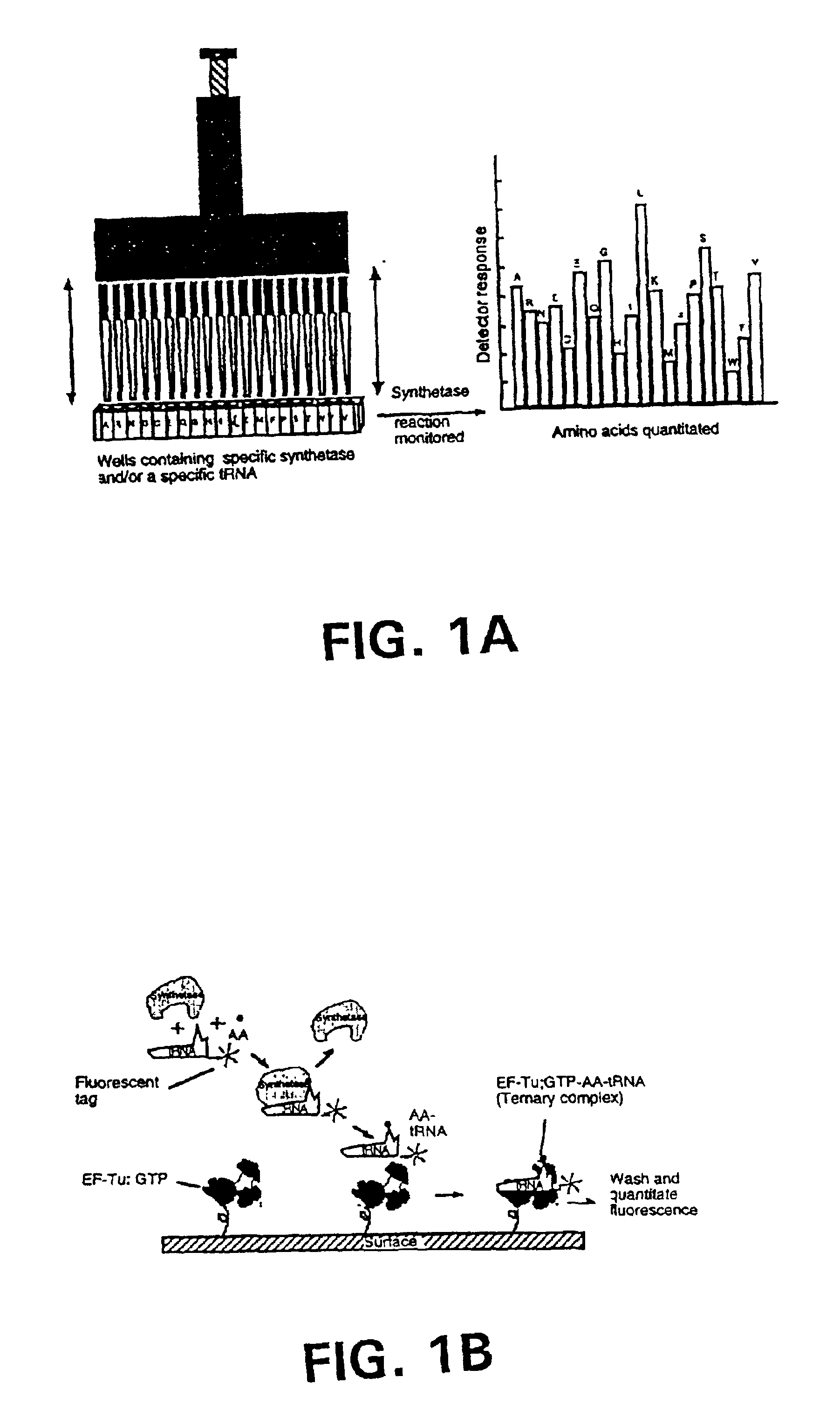 Method and system for rapid biomolecular recognition of amino acids and protein sequencing