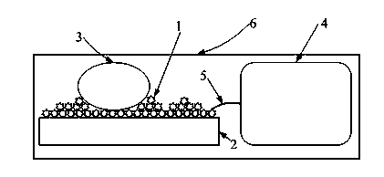 Electric excitation cell culture method