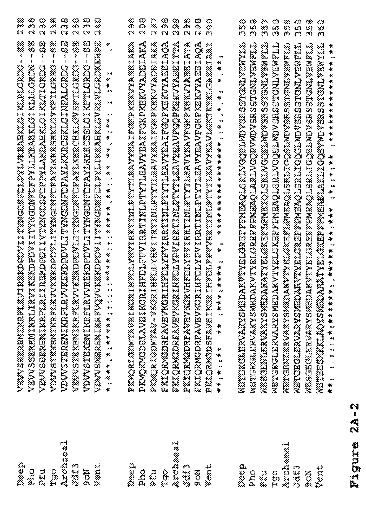 Compositions and methods using split polymerases