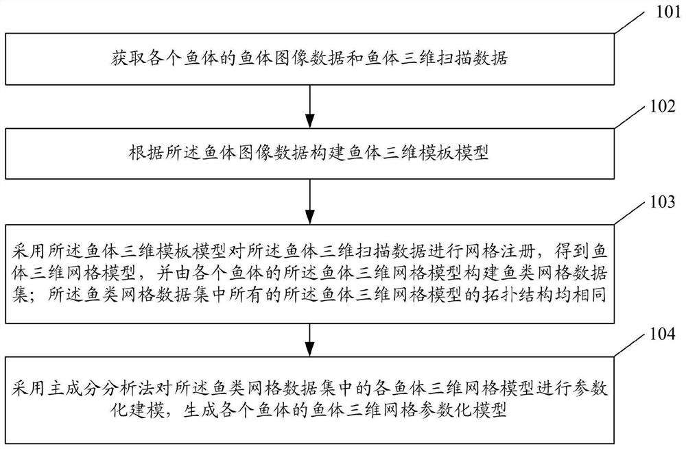 Method and system for determining a fish body model