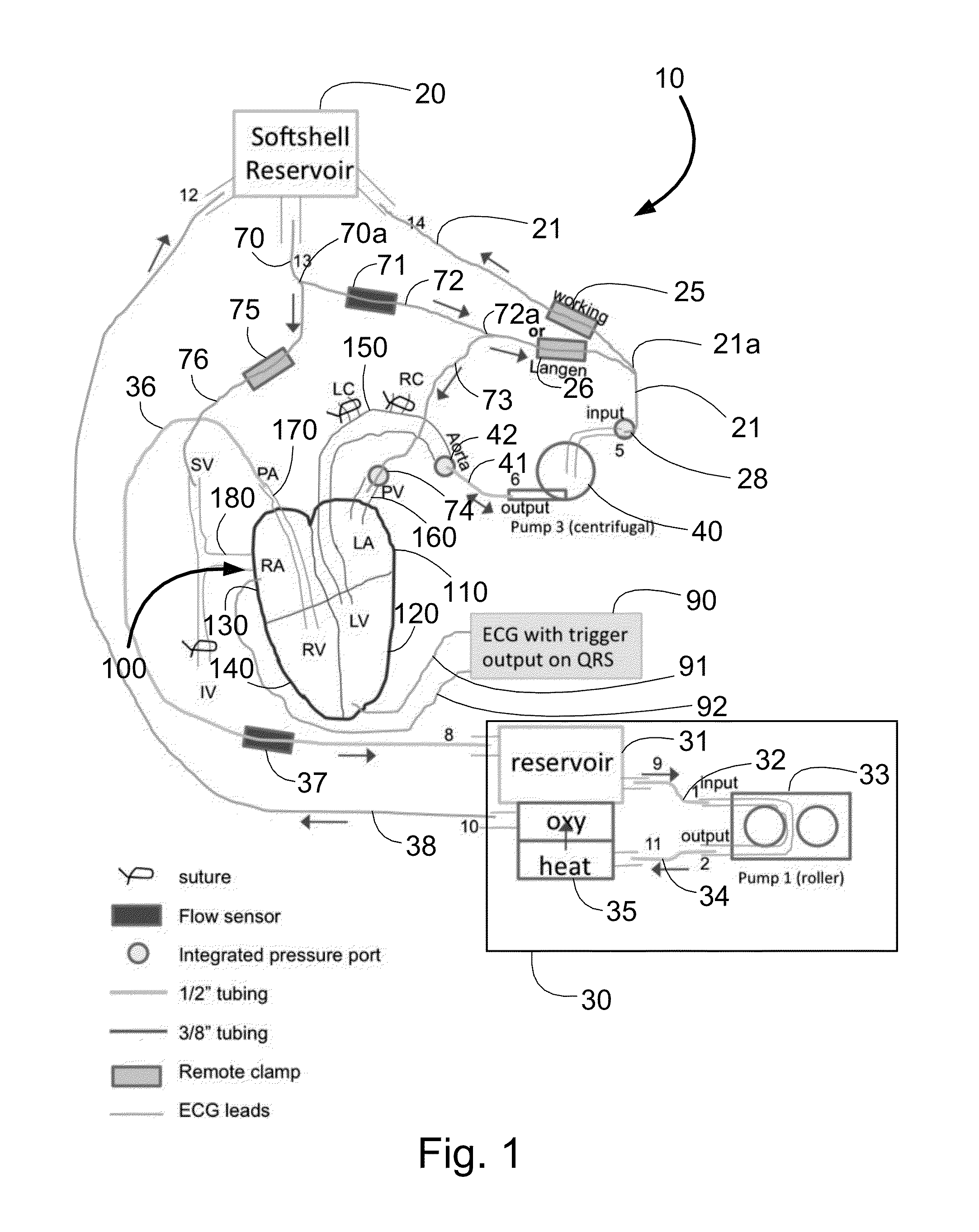 Apparatus for testing, assessment, and maintenance of harvested hearts for transplanting