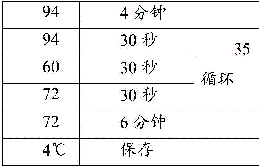 Genetic diagnosis kit and use method thereof