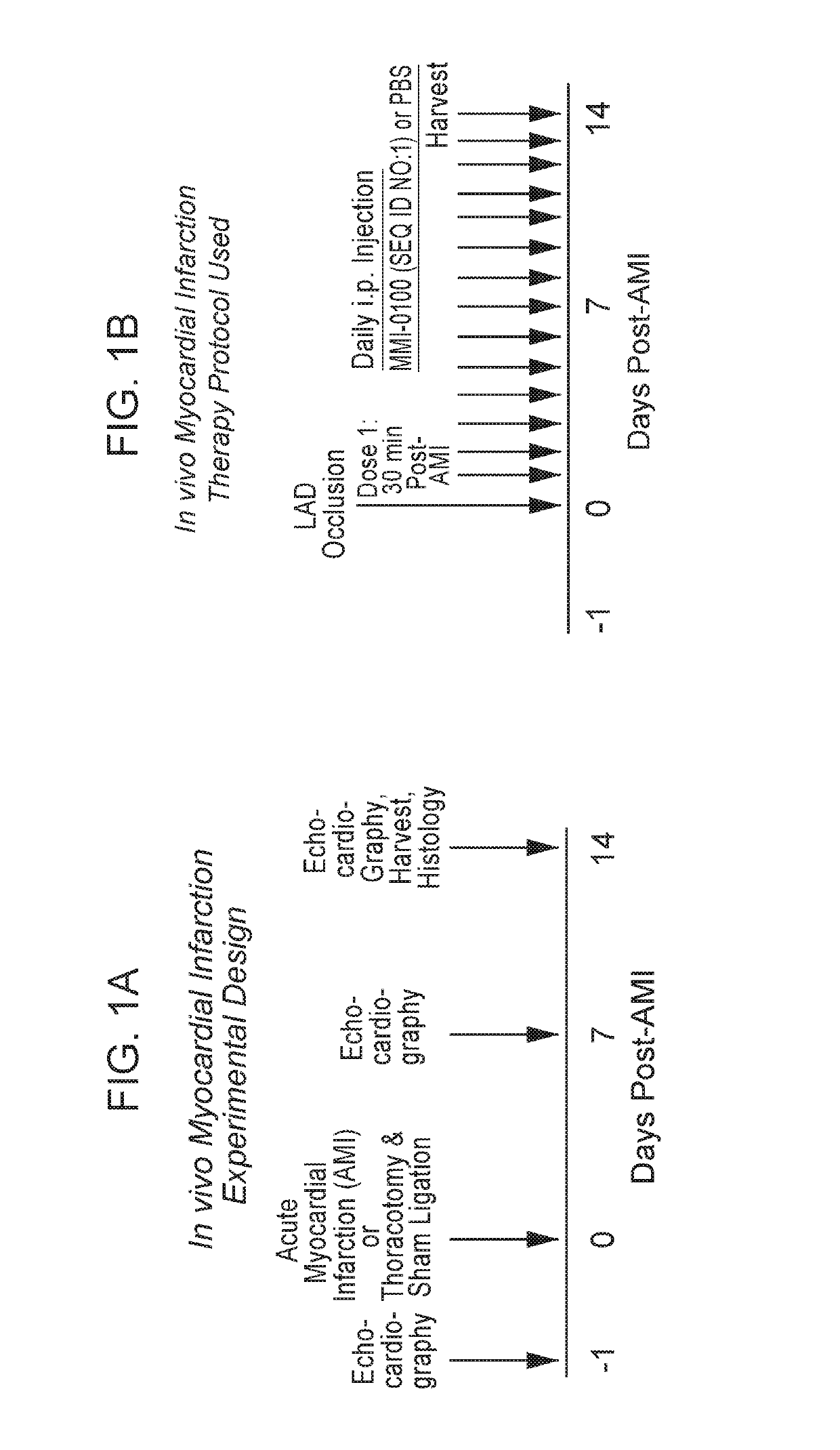 Inhibition of cardiac fibrosis in myocardial infarction