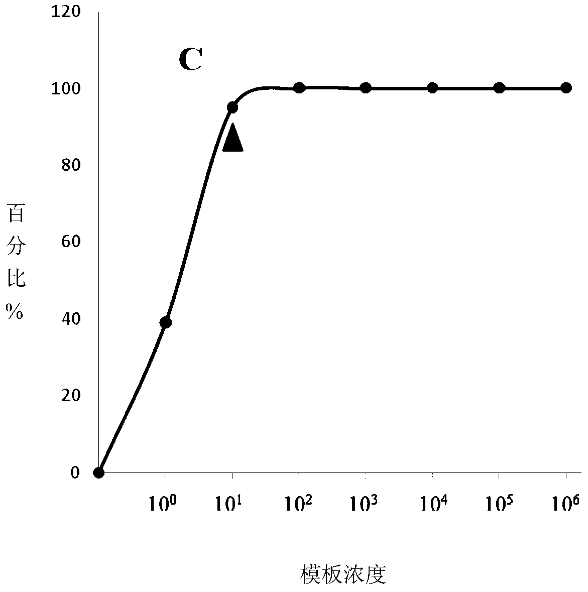 RT-rpa detection kit for rapid detection of highly pathogenic porcine reproductive and respiratory syndrome virus and its use