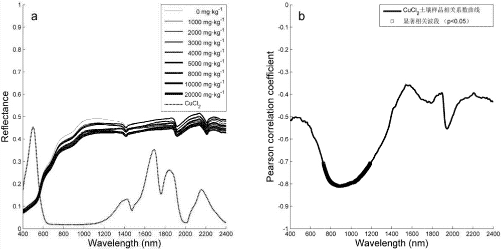 Soil heavy metal visible and near infrared reflection spectrum feature diagnosing method