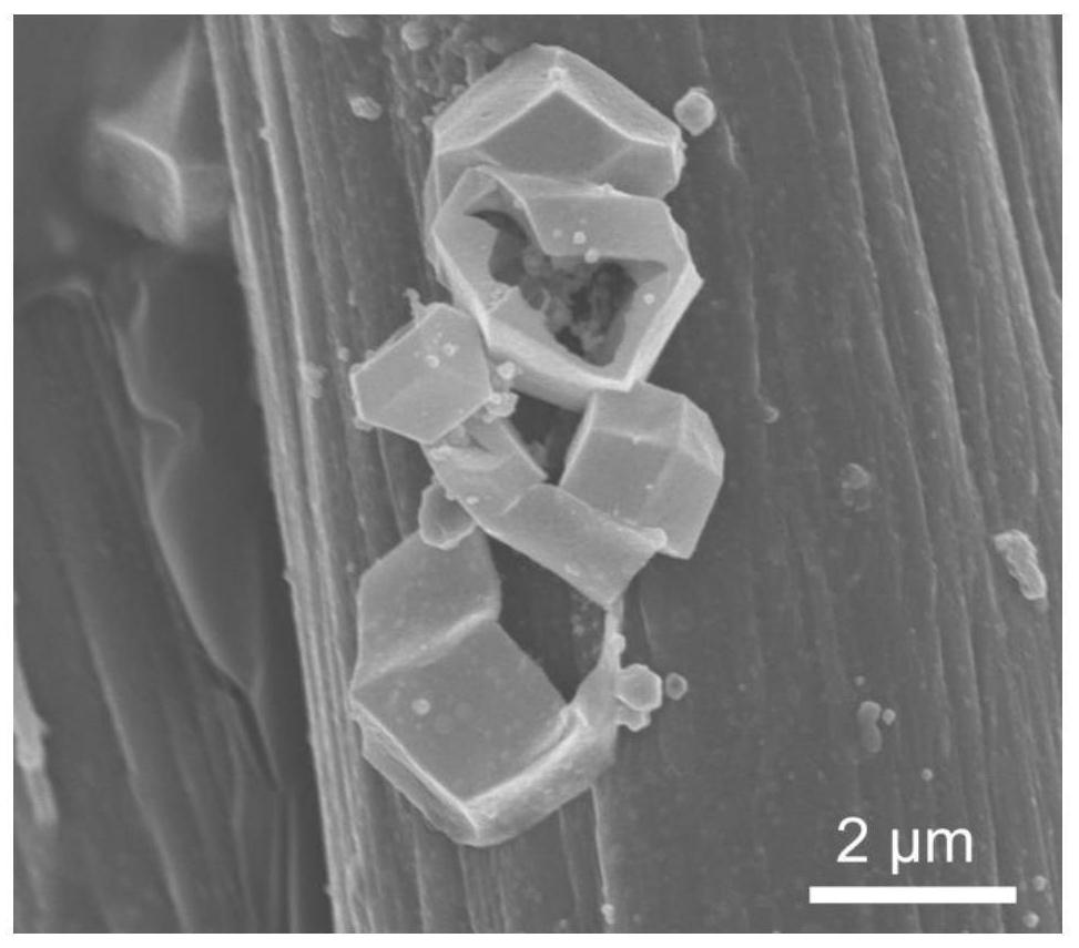 Sulfur-loaded hollow nano polyhedron octasulfide nine cobalt/carbon fiber composite material and preparation method and application thereof