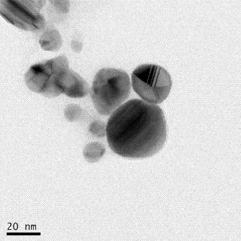 Method for preparing nano silver through pyrenochaeta penicillium