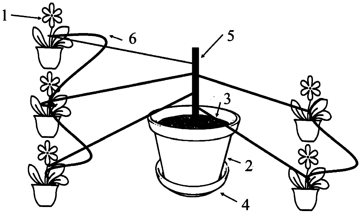 Method for large-scale aphid rearing by utilizing ant-aphid symbiosis