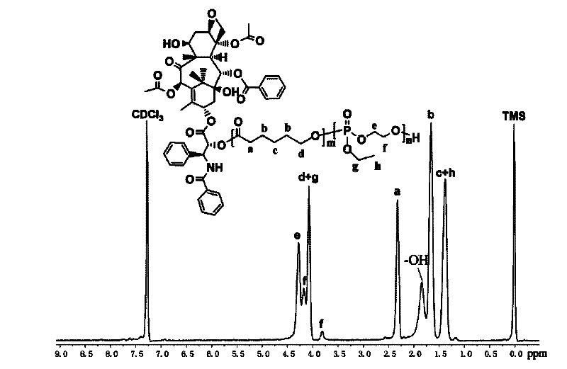 Paclitaxel bonded amphipathic aliphatic polyester-b-polyphosphate high polymer and preparation thereof