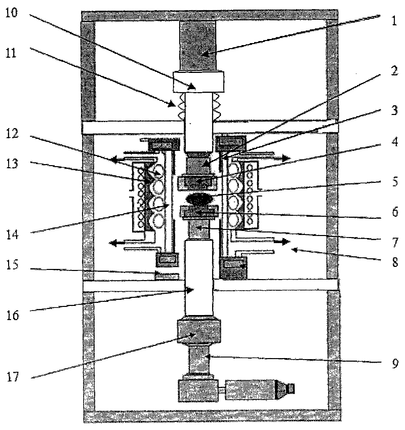 Ultrasonic vibration-assisted method for precise mould pressing and shaping