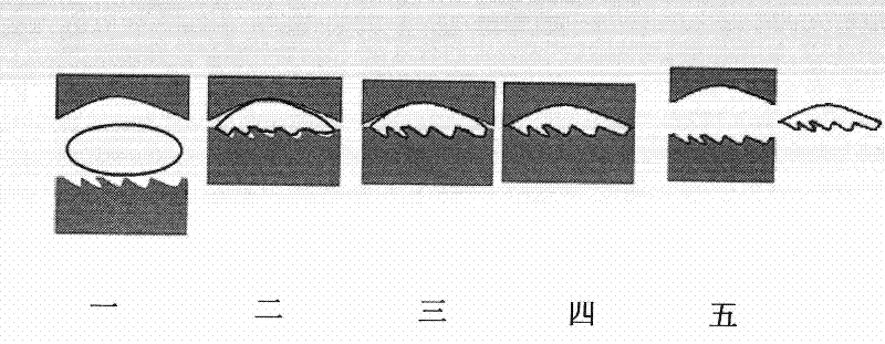 Ultrasonic vibration-assisted method for precise mould pressing and shaping