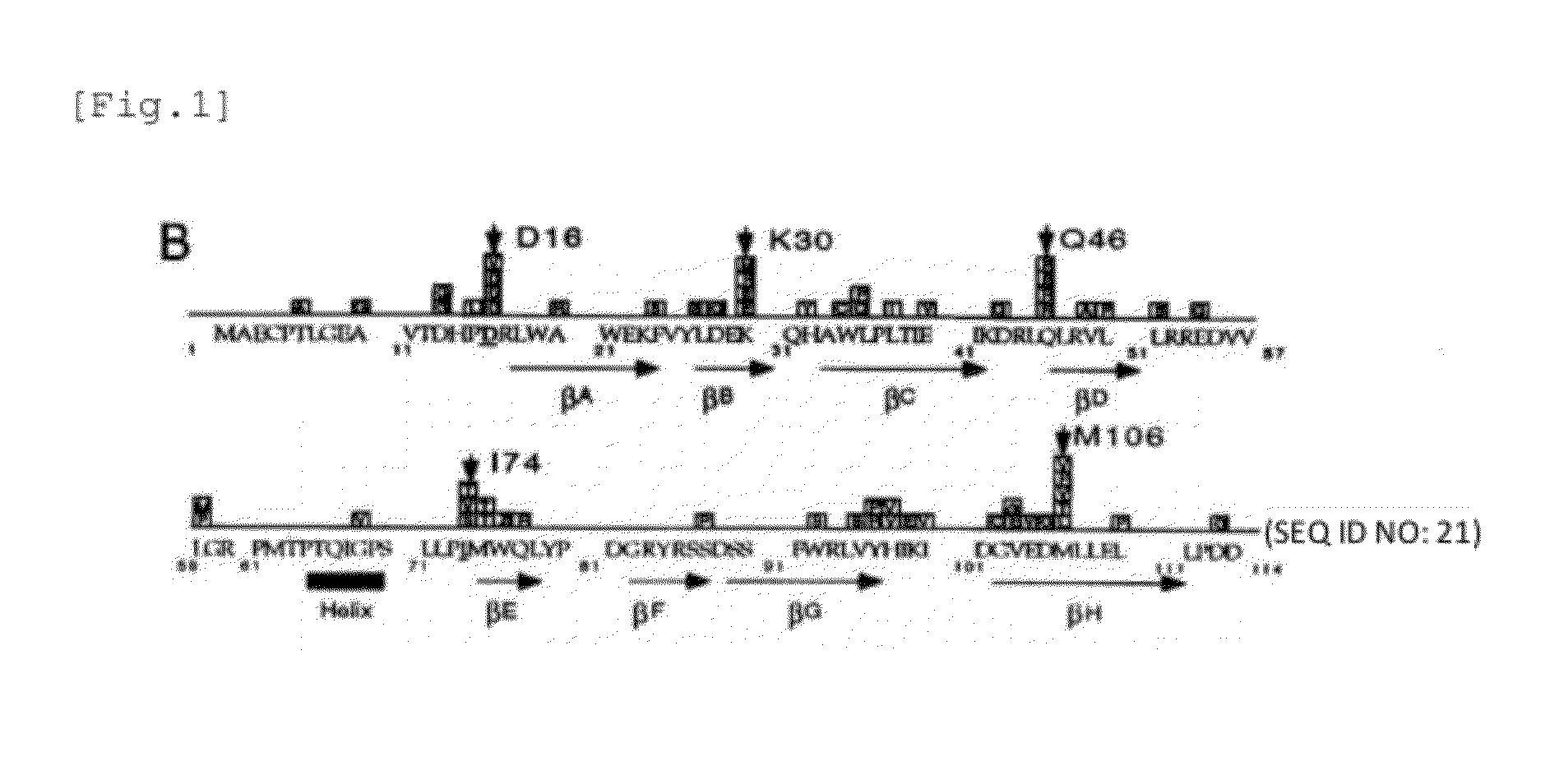 Akt activity specifically inhibiting polypeptide