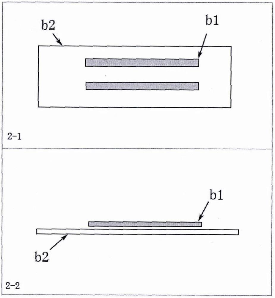 Separation method of botrytis cinerea