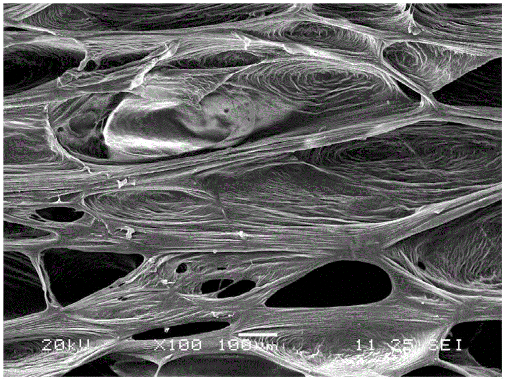 Heat-insulated degradable polypropylene foaming material and production method thereof