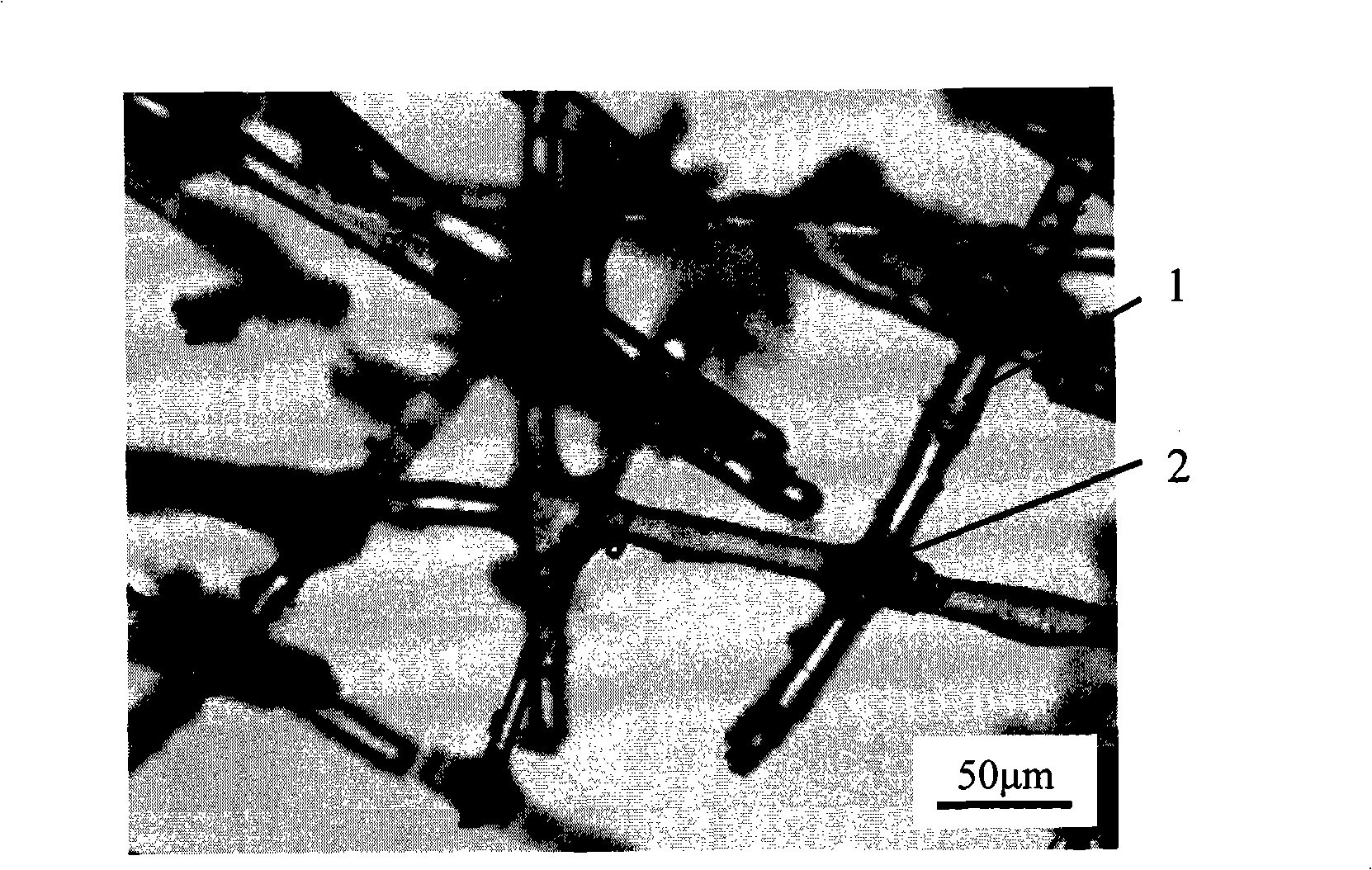 Fiber reinforced composite material and preparation thereof
