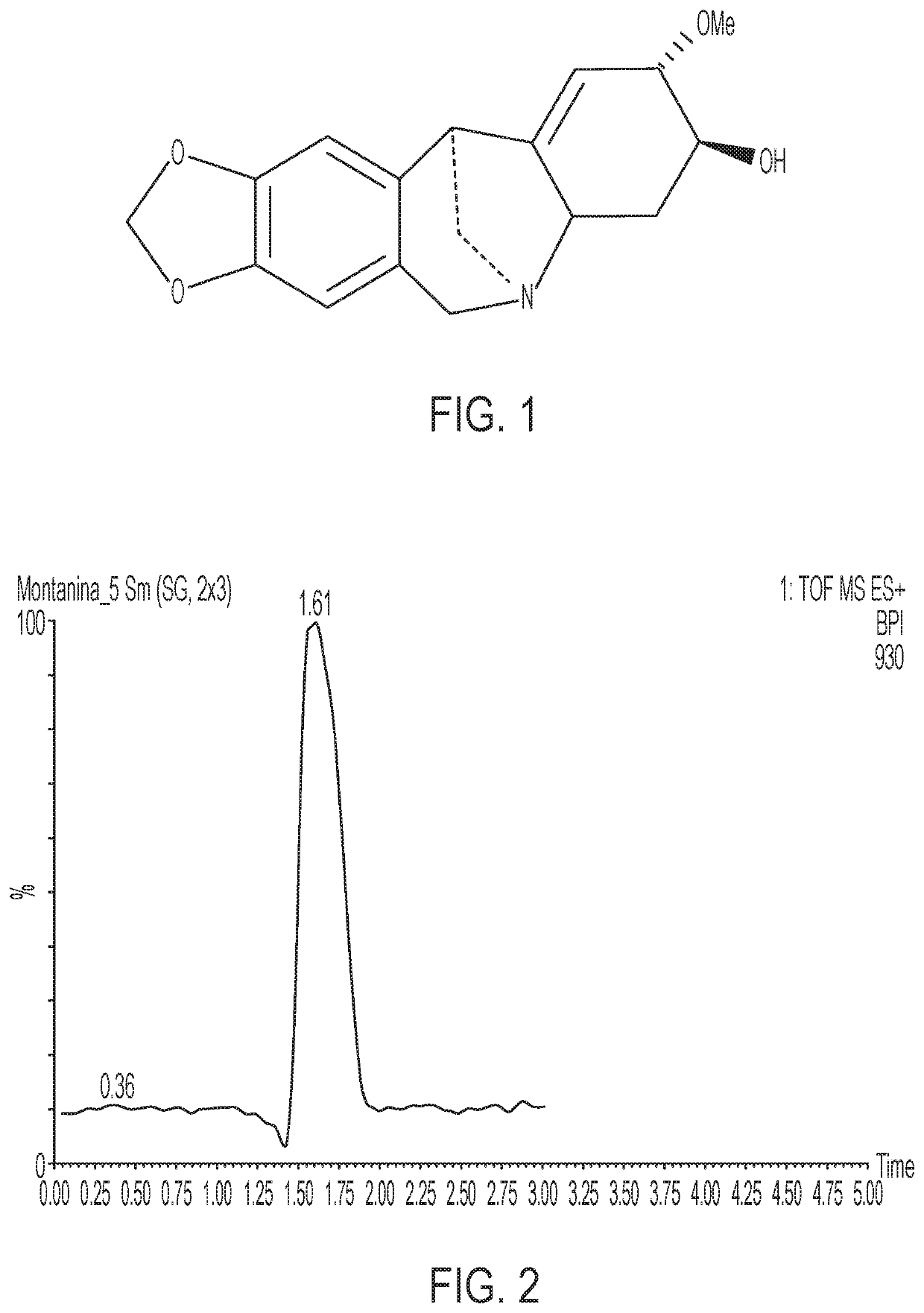 Process for extracting the alkaloid fraction of rhodophiala bifida (herb.) traub and uses thereof