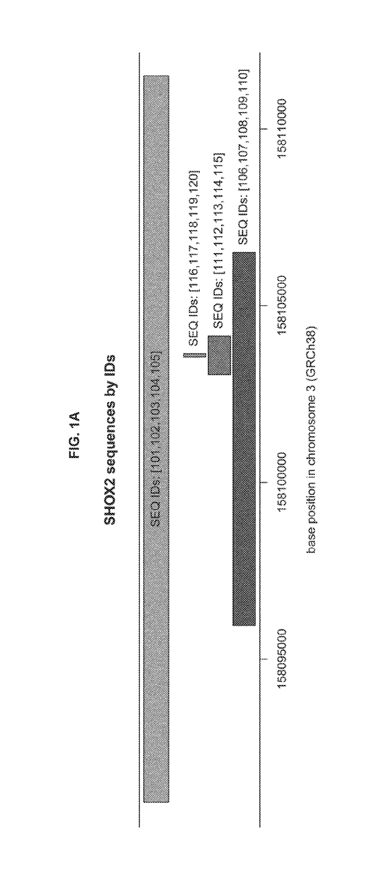 METHODS FOR DETECTING CpG METHYLATION AND FOR DIAGNOSING CANCER