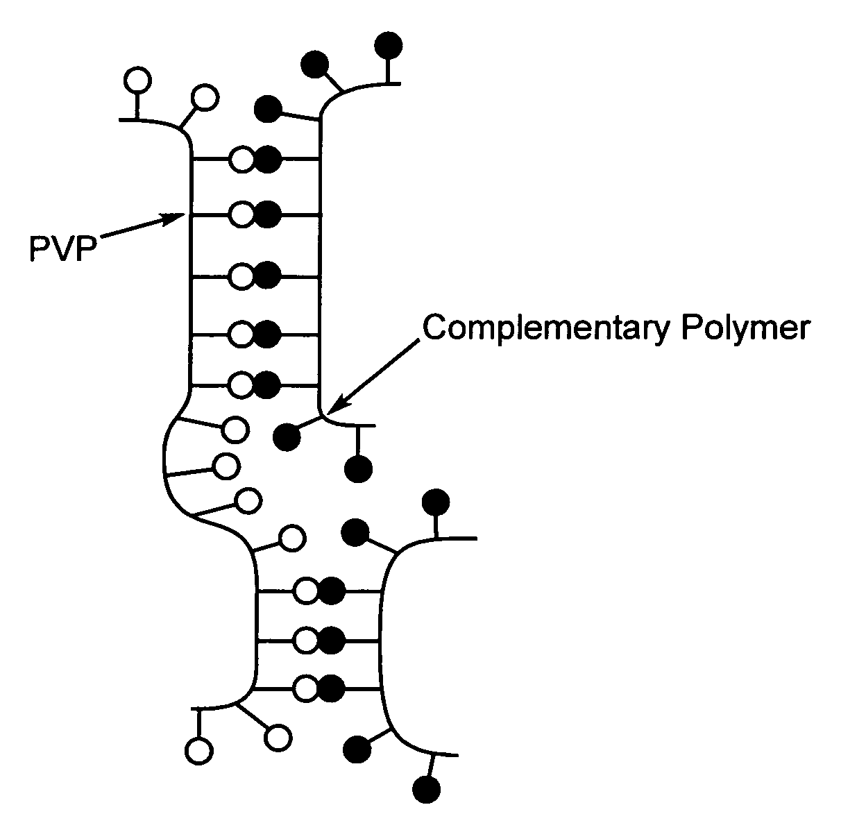 Method of preparing polymeric adhesive compositions utilizing the mechanism of interaction between the polymer components