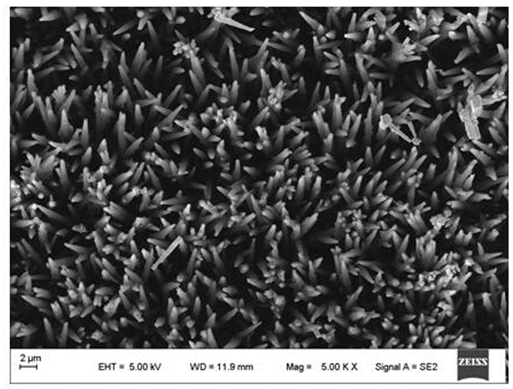 Hydrothermal method preparation technology for BiVO4 nanowires