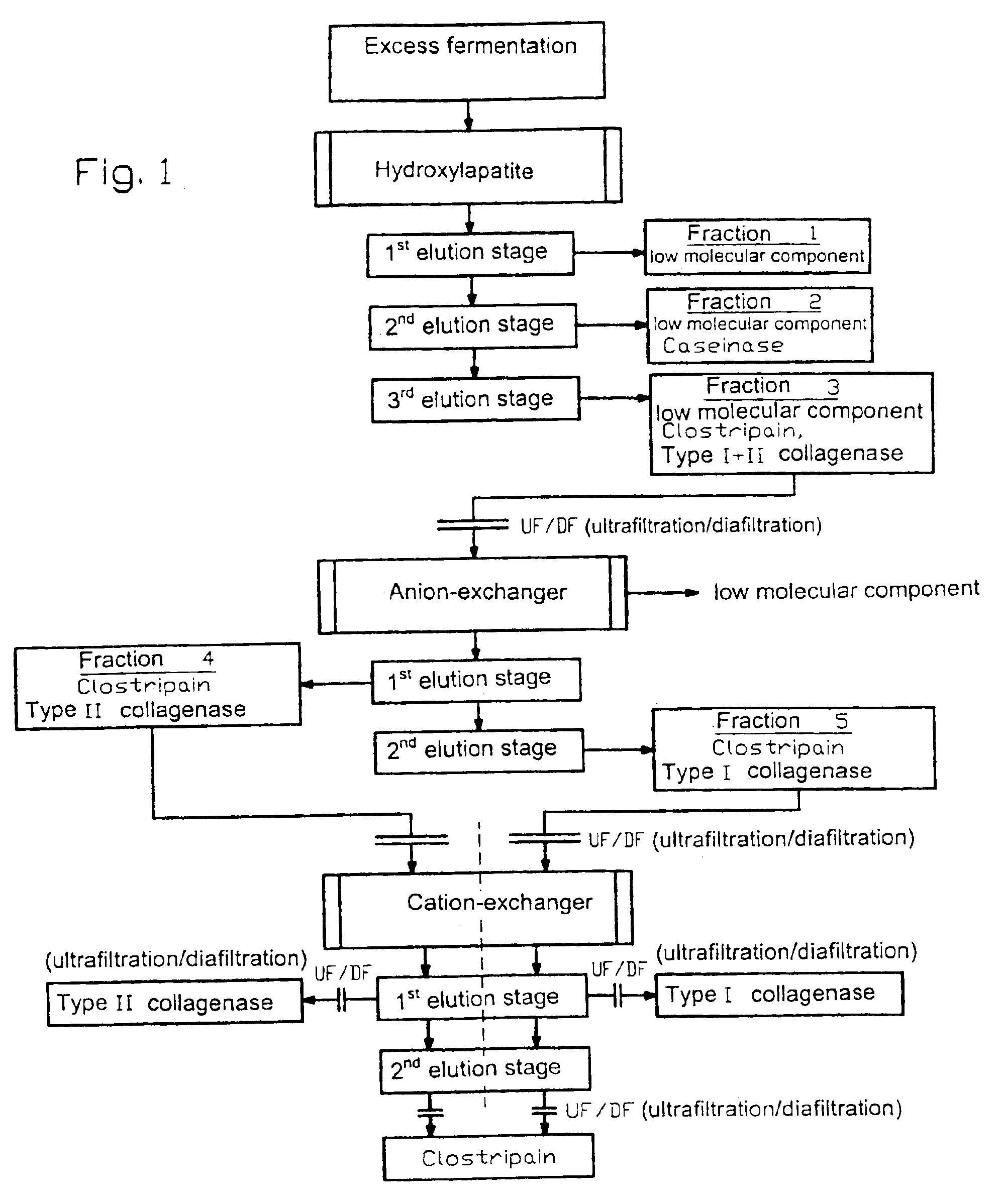 Method for purifying enzymes from clostridium histolyticum using multi-stage chromatography