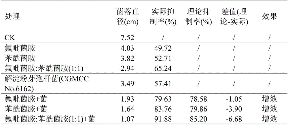 Bacterium combination containing benzamide fungicides, dithiocarbamate fungicides and biocontrol bacteria, preparation and application