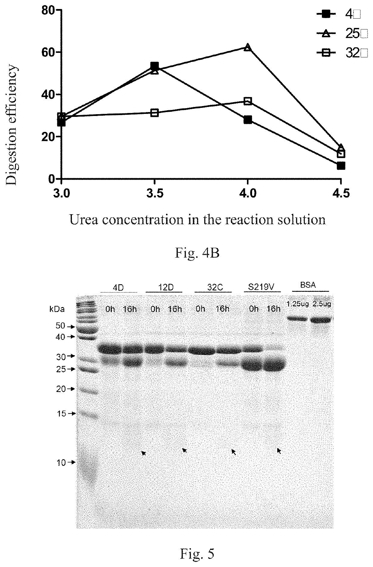 Method for screening protease variant and obtained protease variant