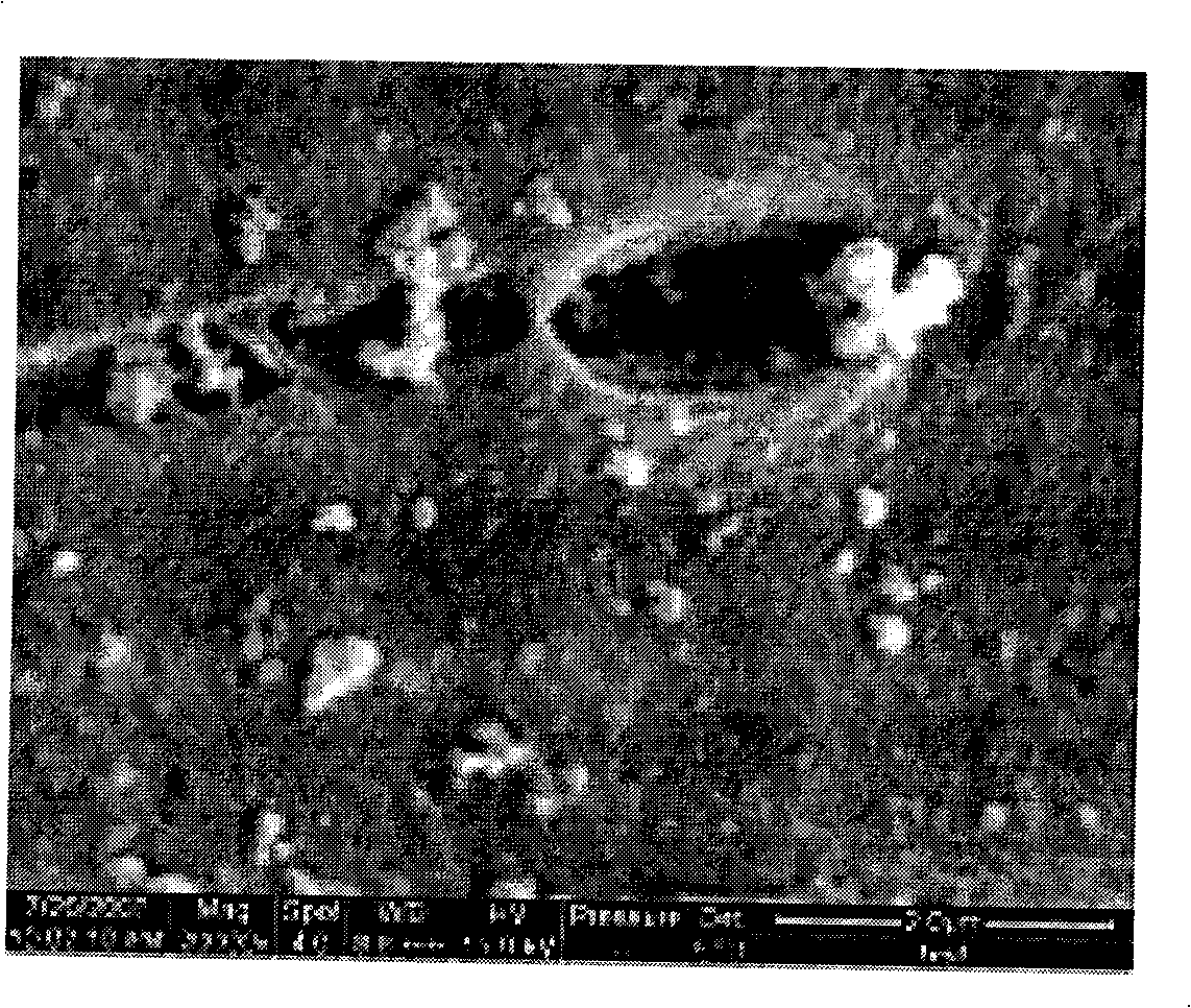 Adsorption-photocatalysis double-function char adsorption material and method of producing the same