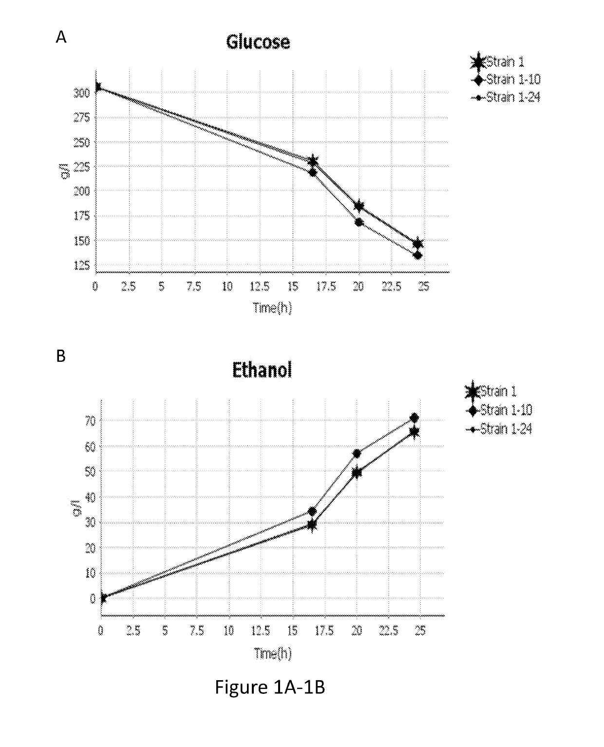 Genetically modified lactate-consuming yeasts and fermentation processes using such genetically modified yeasts