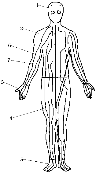 Meridian acupoint viscera suit