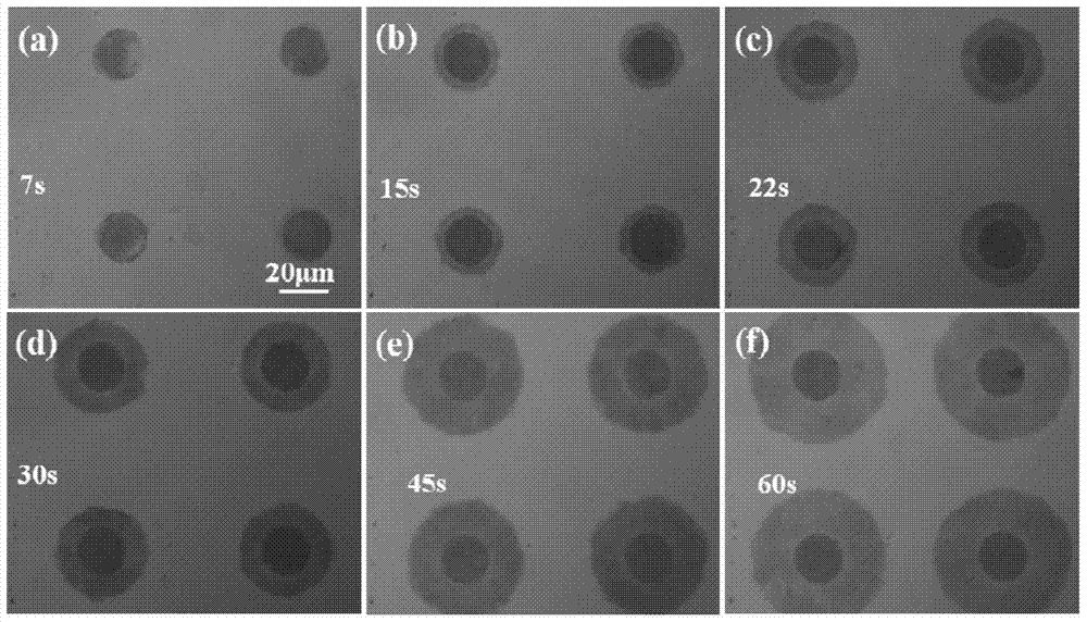 Graphene/graphene oxide microarray electrode and its preparation method and application